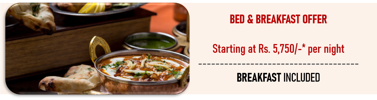 Special Offer Manahotel Rananpur