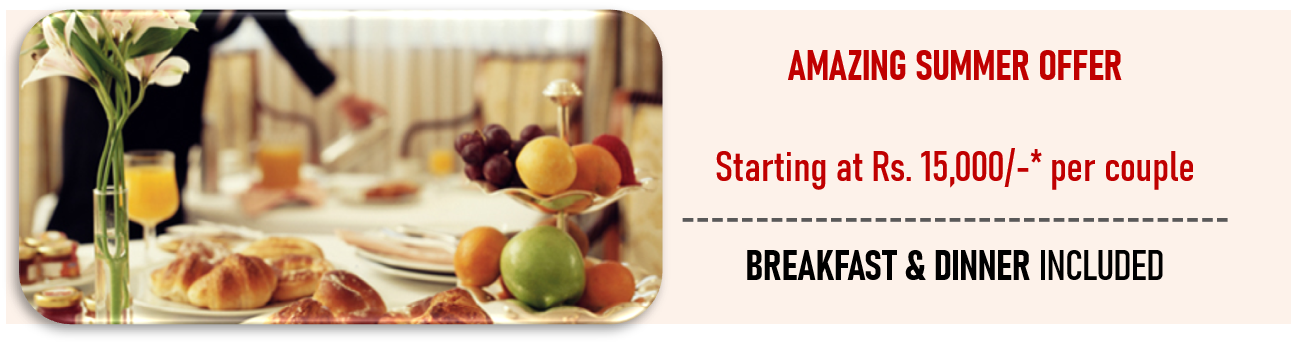 Special Offer Manahotel Rananpur