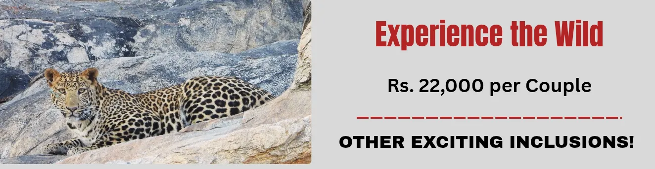 Special Offer Manahotel Rananpur