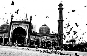 Delhi: Lost and Found Again – By Sanibh Aryan