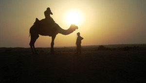 Top 5 Things to do in Rajasthan