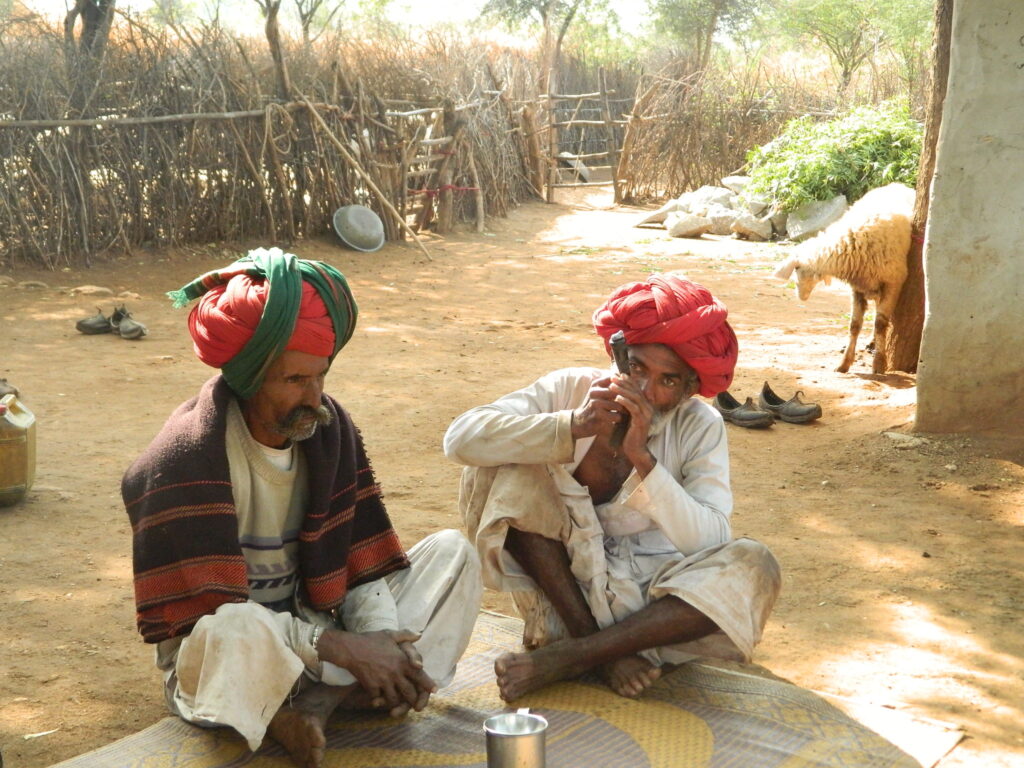 Raikas and camels of Rajasthan