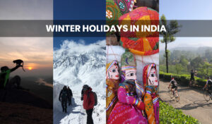 Winter Holidays India Mana Hotels