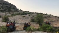 leopard safari ranakpur