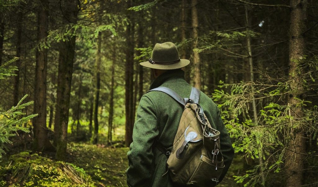 wellness resorts in ranakpur