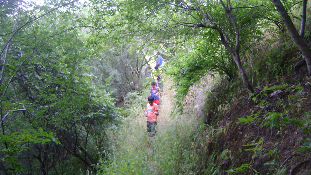 slow travel ranakpur
