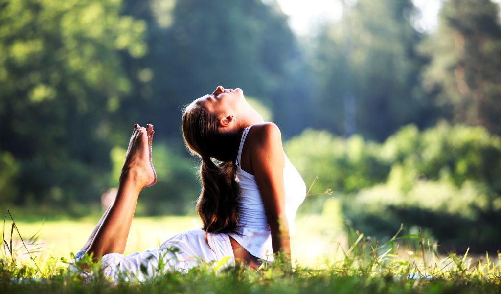 wellness in rajasthan