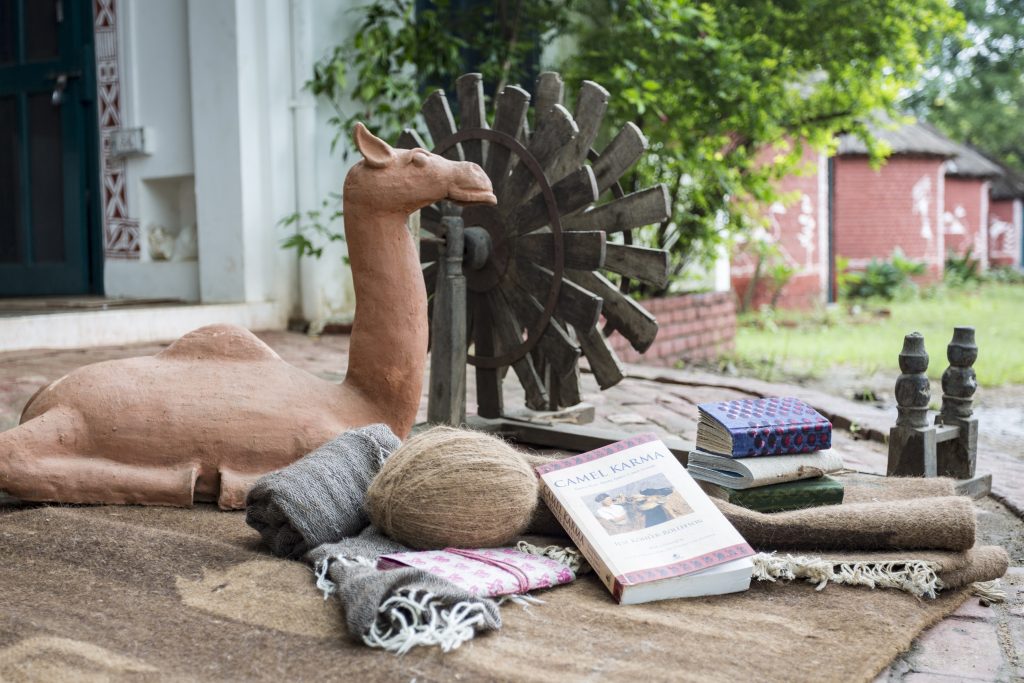 things to do in ranakpur