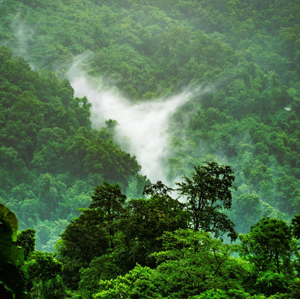 ranakpur in monsoons