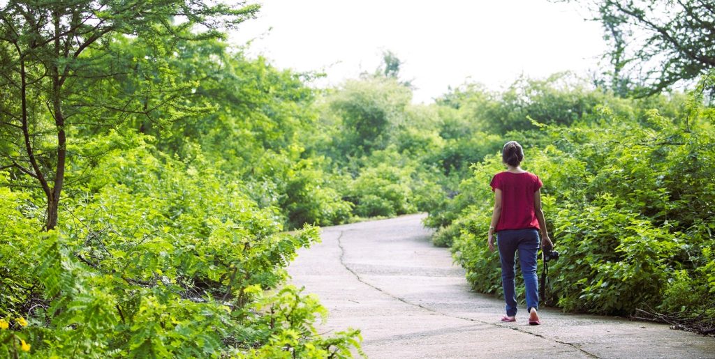 best resort in ranakpur