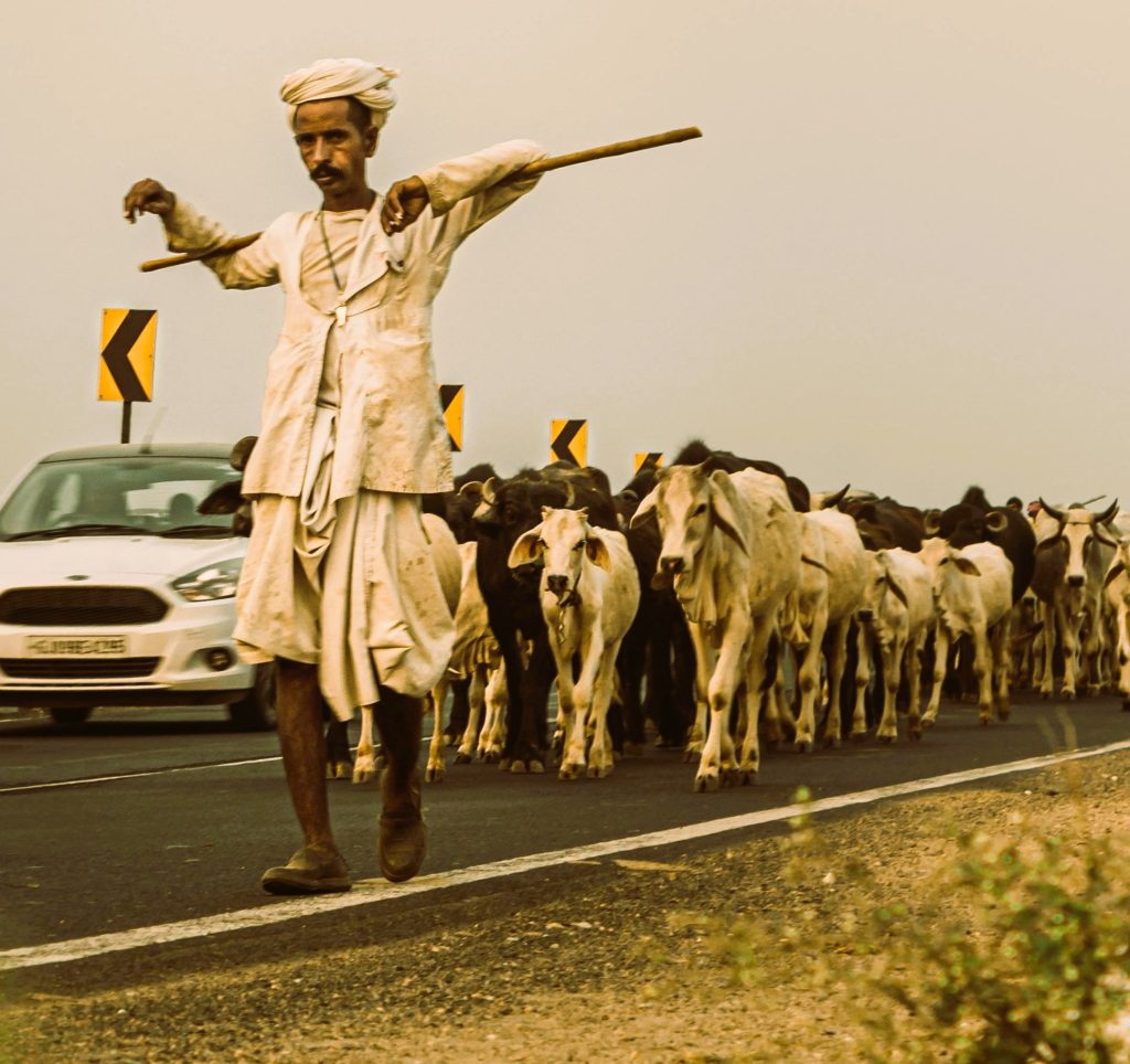 best hotels in rajasthan