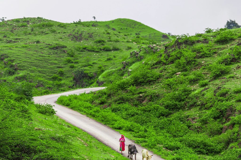 distance from ranakpur to major cities