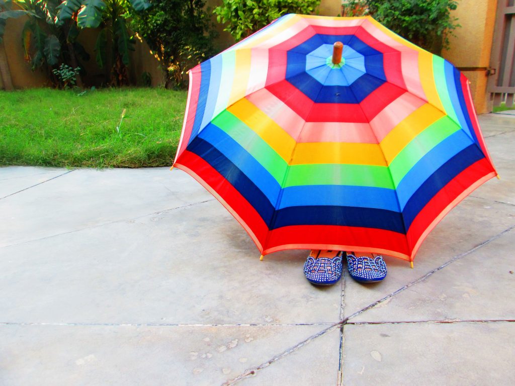 monsoon travel tips