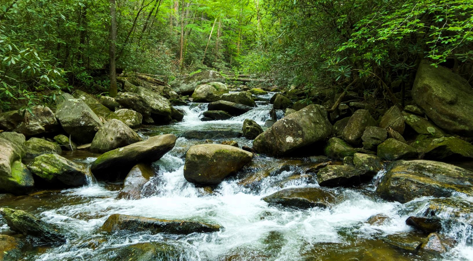 Streams and natural scenery around Ranakpur